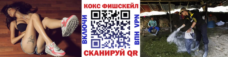 Кокаин Эквадор  наркота  Суворов 