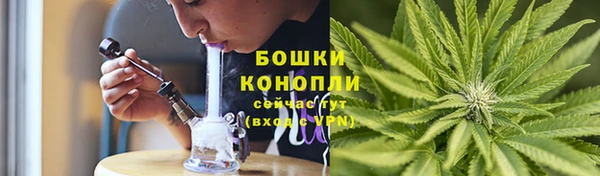 гашик Липки