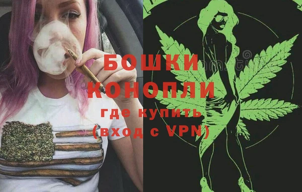 гашик Липки