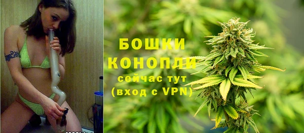 гашик Липки