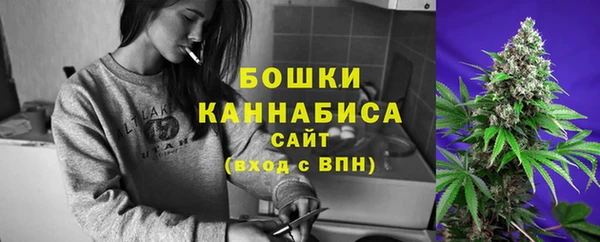 гашик Липки