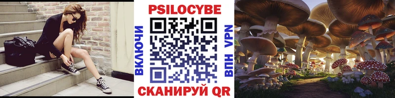 где можно купить   Суворов  Галлюциногенные грибы мухоморы 